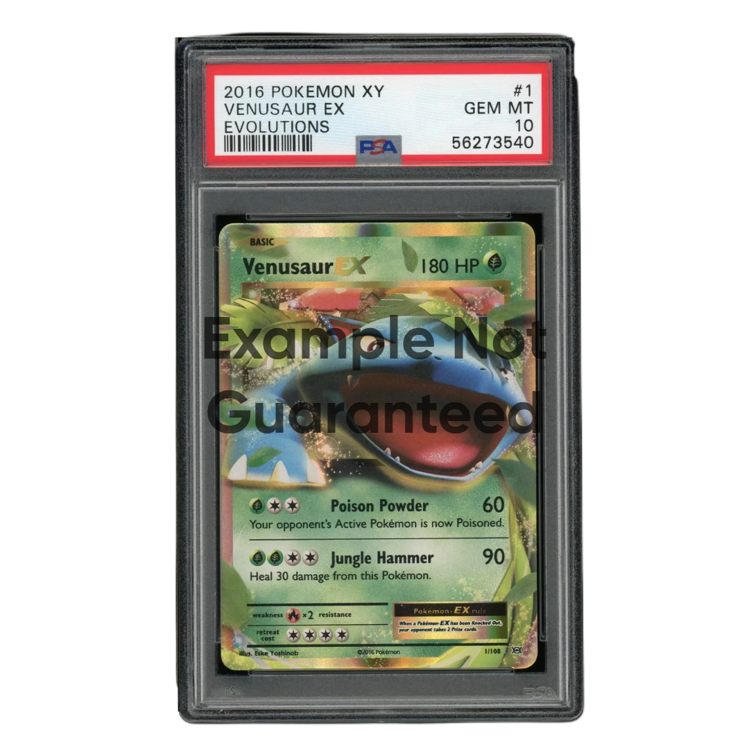 SnorPack Graded Slab