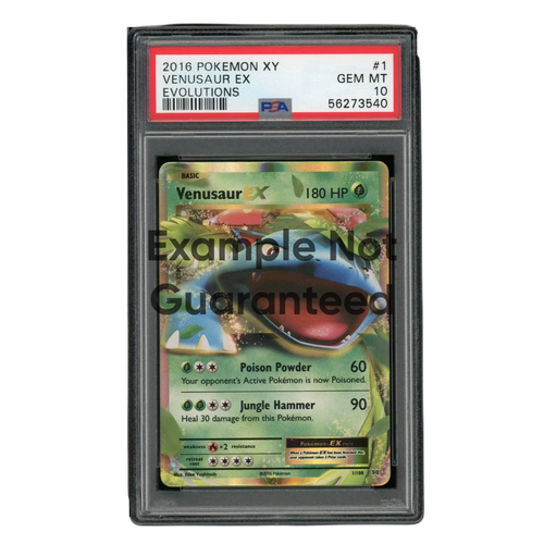 SnorPack Graded Slab