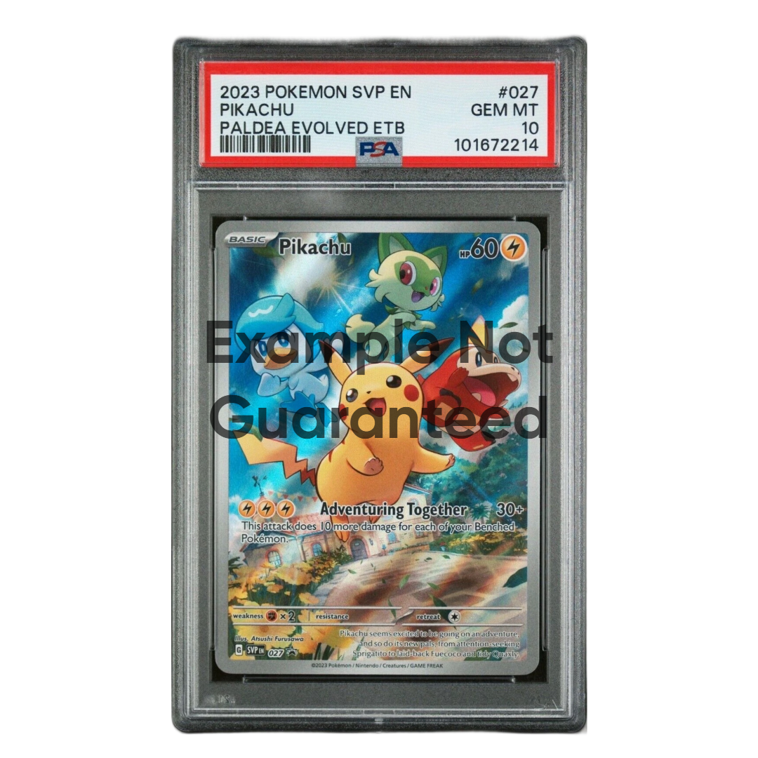SnorPack Graded Slab