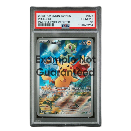 SnorPack Graded Slab
