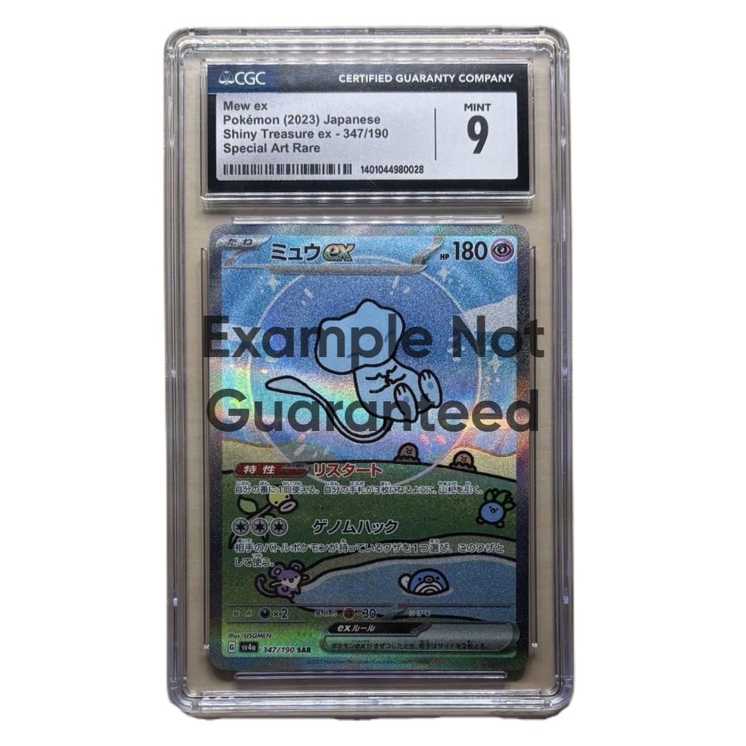 SnorPack Graded Slab
