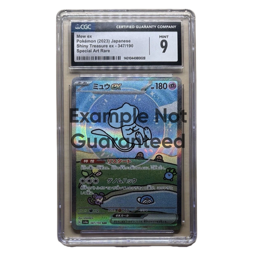 SnorPack Graded Slab